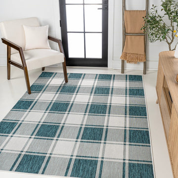 Sabine Traditional Farmhouse Bold Gingham Area Rug